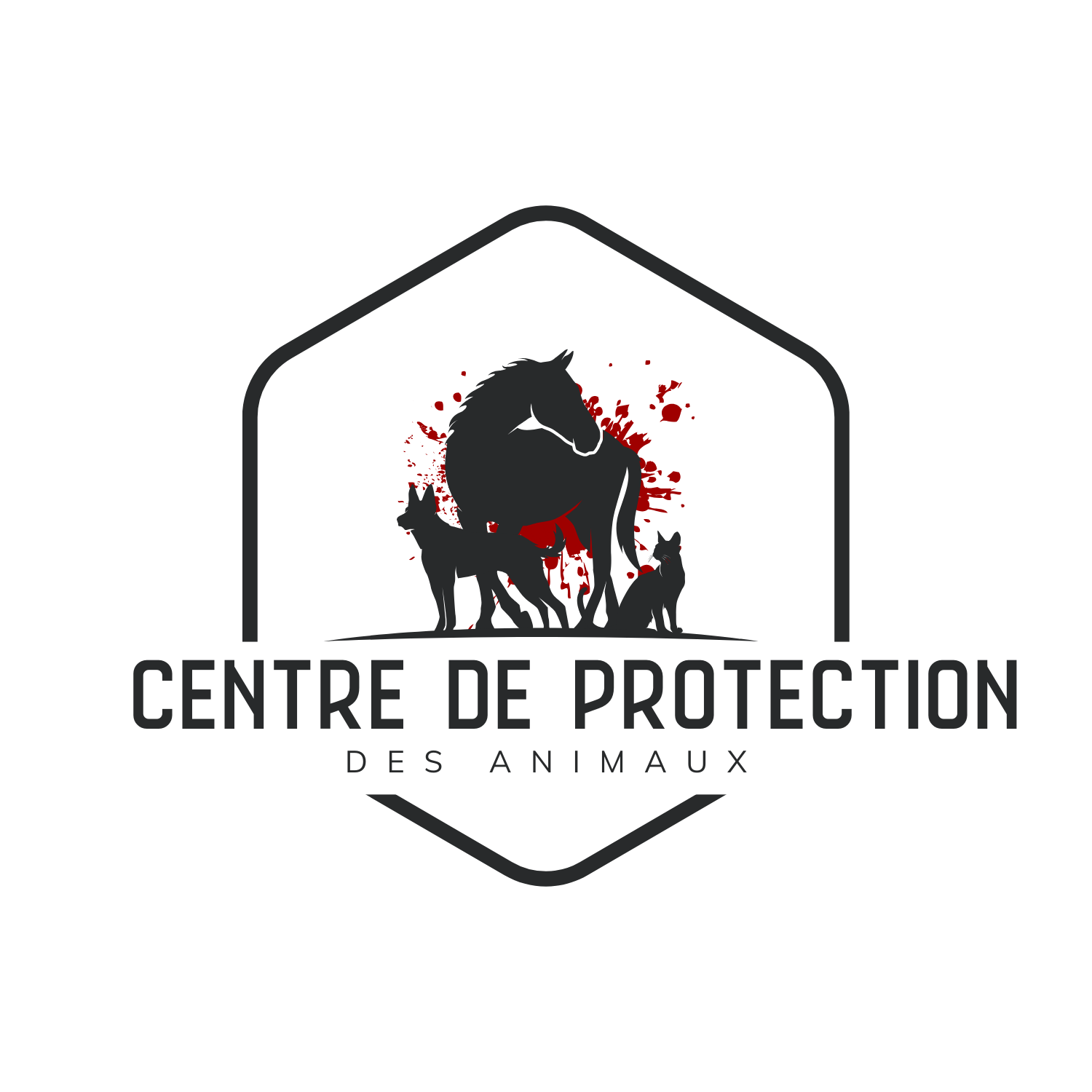 Image for AIDE POUR LE CENTRE DE PROTECTION DES ANIMAUX 