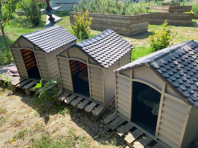Additional Photo 2