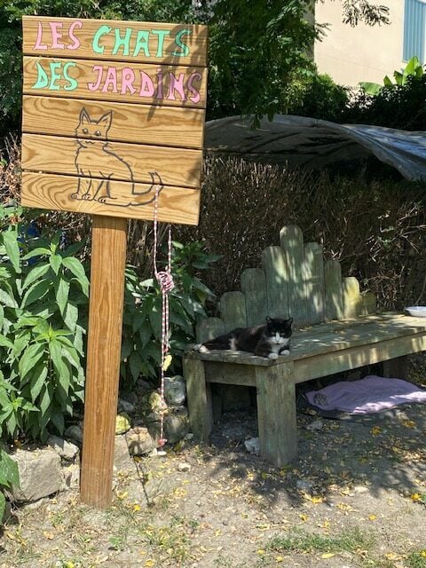 Additional Photo 1