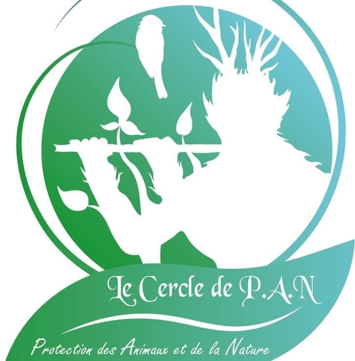 Project Logo