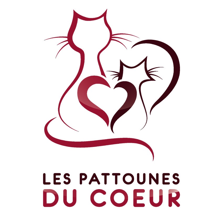 Image for Projet Pattounes - Chats Libres Montpellier