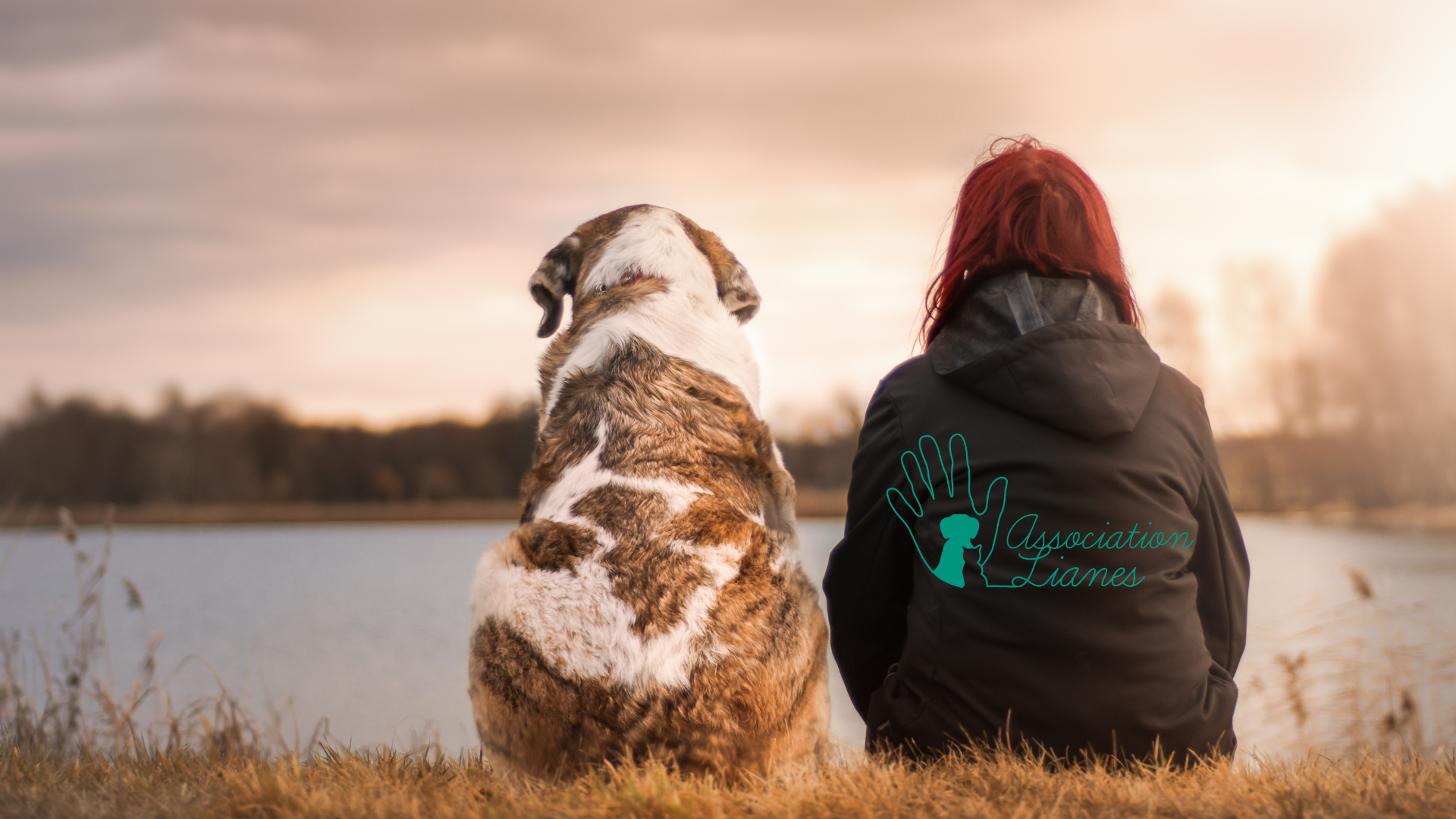 Image for Pension sociale pour animaux