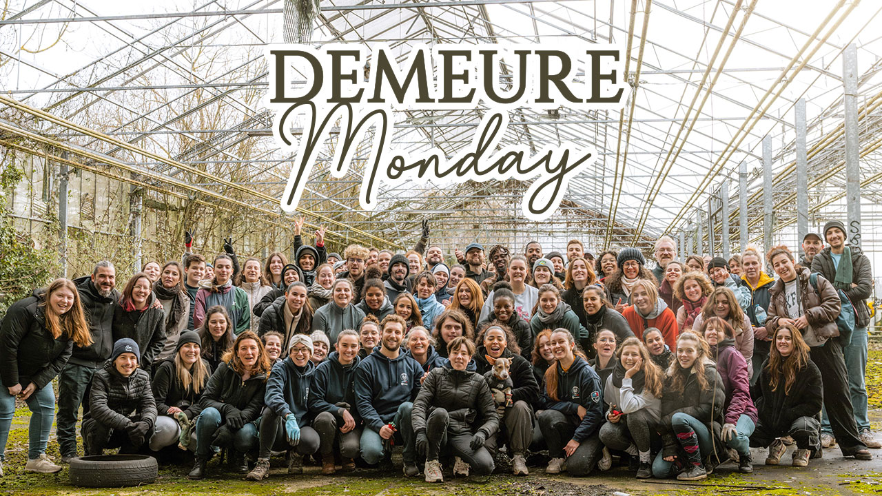 Image for Demeure Monday