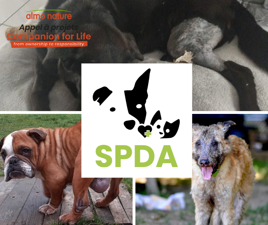 Image for Prise en charge des frais vétérinaires des animaux pour faciliter leur adoption et éviter leur retour au refuge.