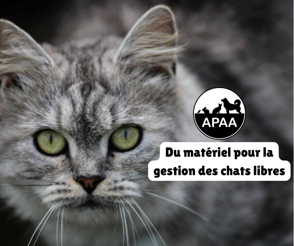 Image for Régulation des naissances et protection du territoire