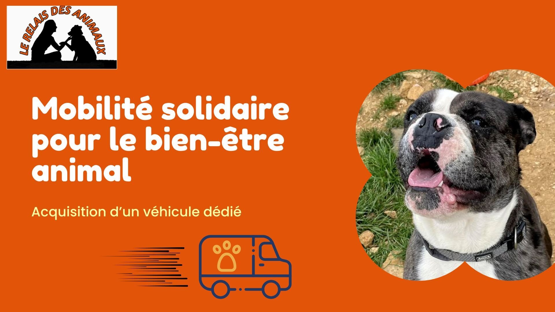 Image for Mobilité solidaire pour le bien-être animal – Acquisition d’un véhicule dédié