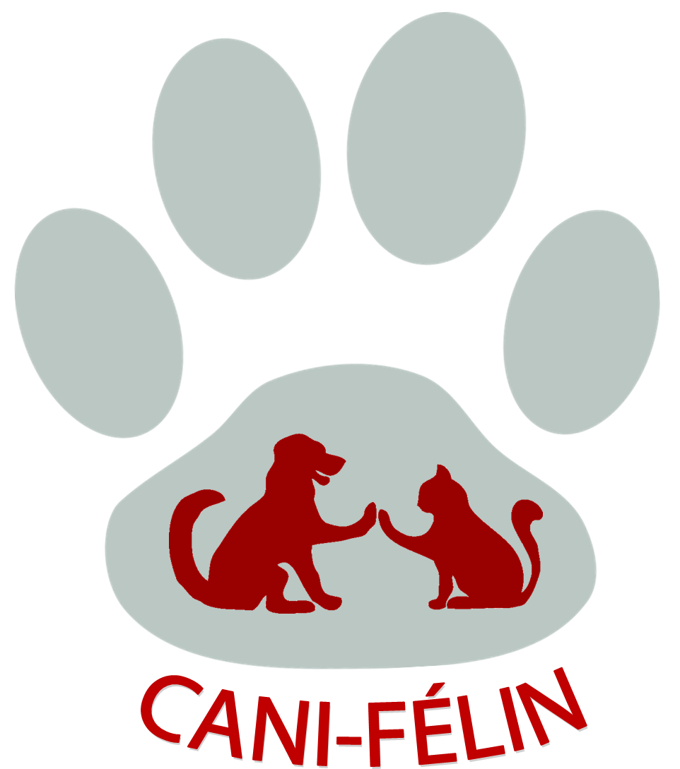 Image for STÉRILISATION DES CHATS ERRANTS - ADOPTION - SENSIBILISATION DU PUBLIC