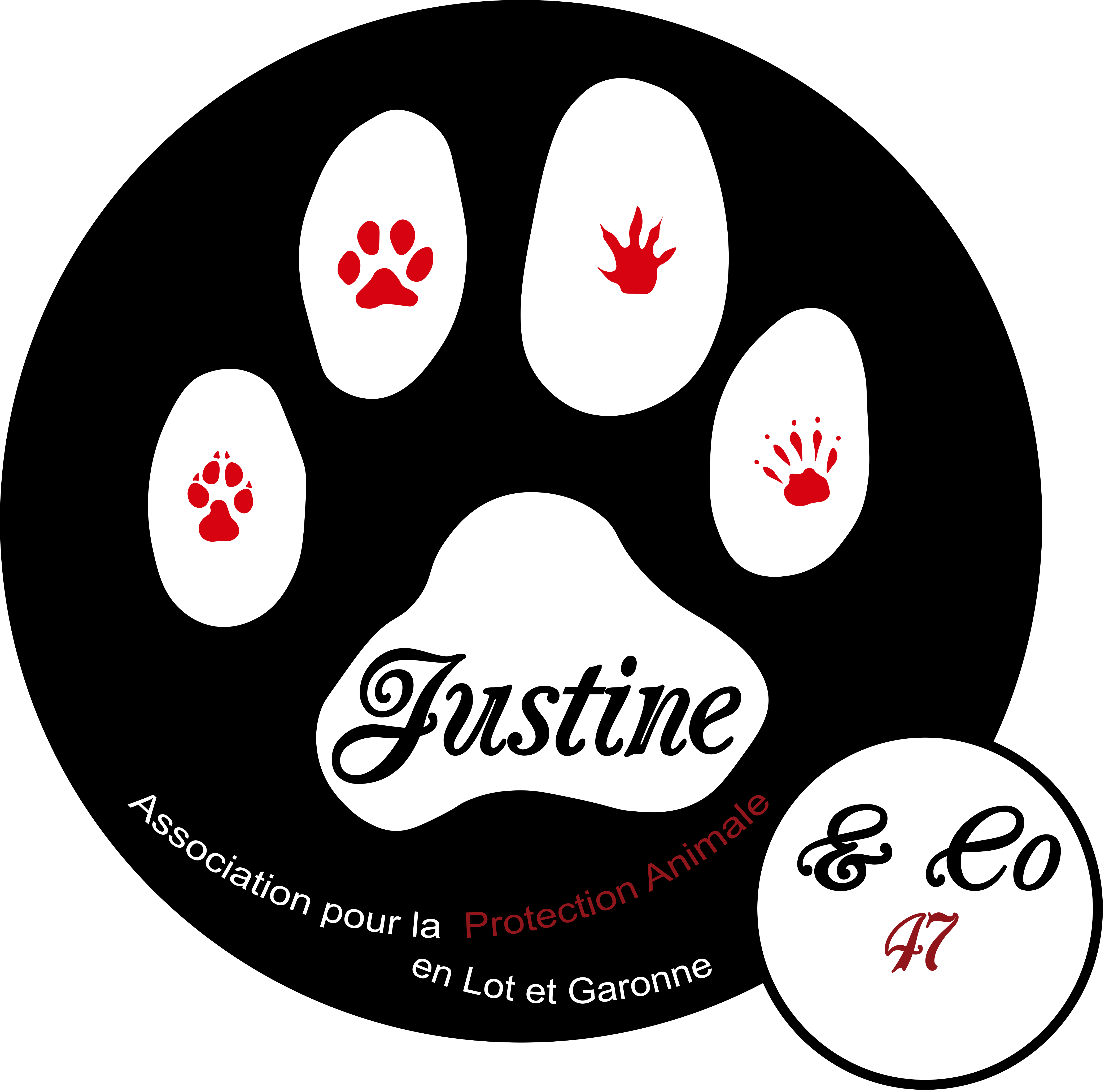 Project Logo