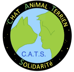 Project Logo
