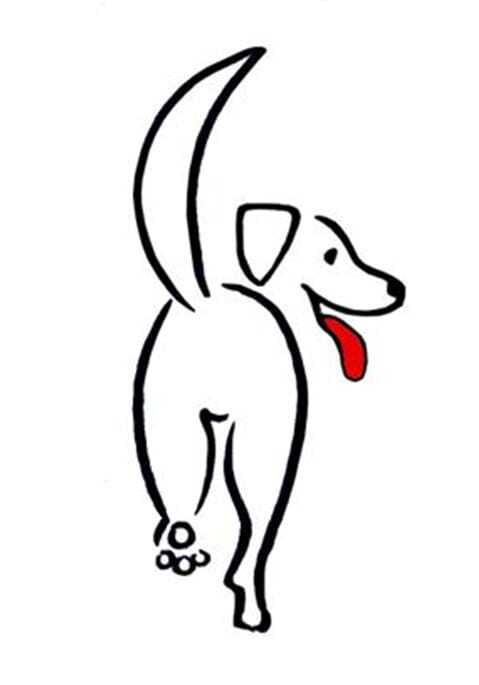 Image for Spazio libero: Benessere in movimento per i cani del canile