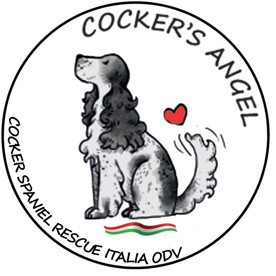 Image for Un Angelo per ogni Cocker