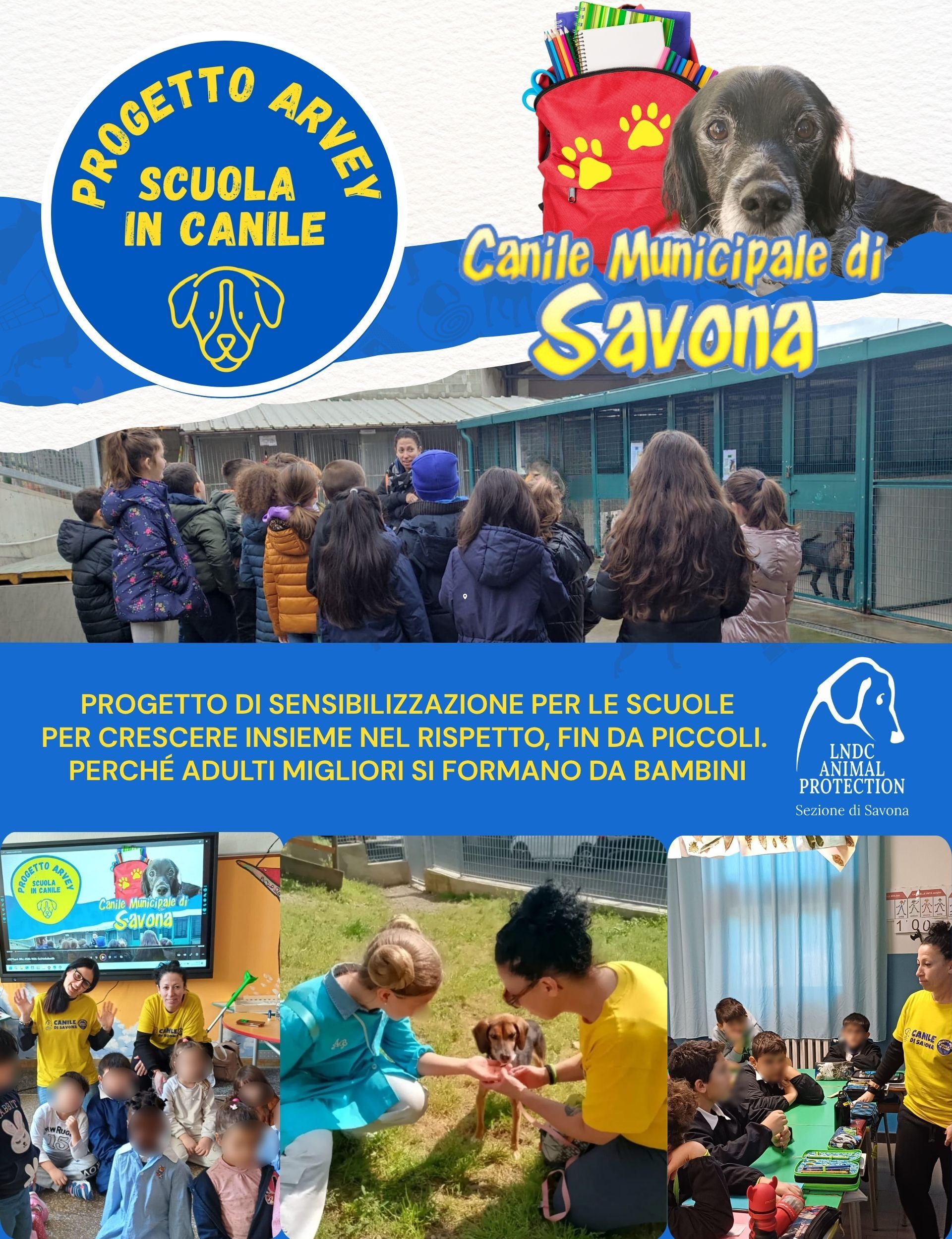 Image for ARVEY – Scuola in Canile