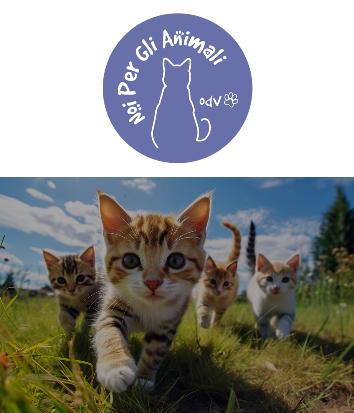 Image for I RA GATTI DI OGGI