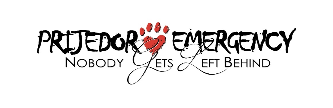 Project Logo