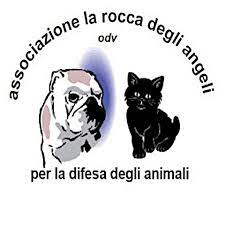 Project Logo