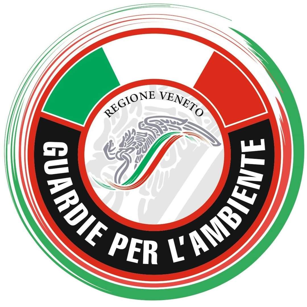Project Logo
