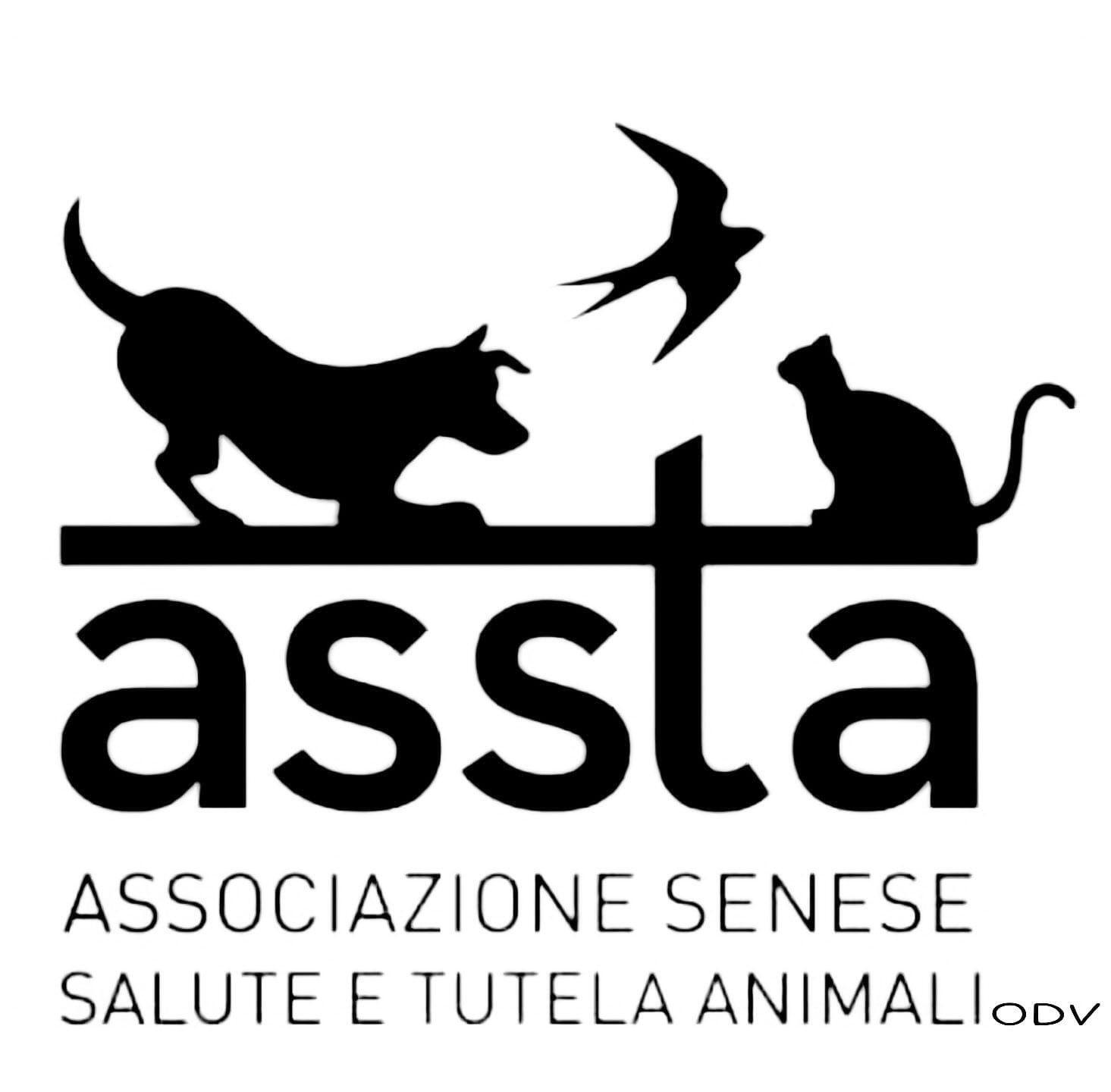Project Logo