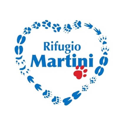Image for NIENTE PIU' RANDAGI!