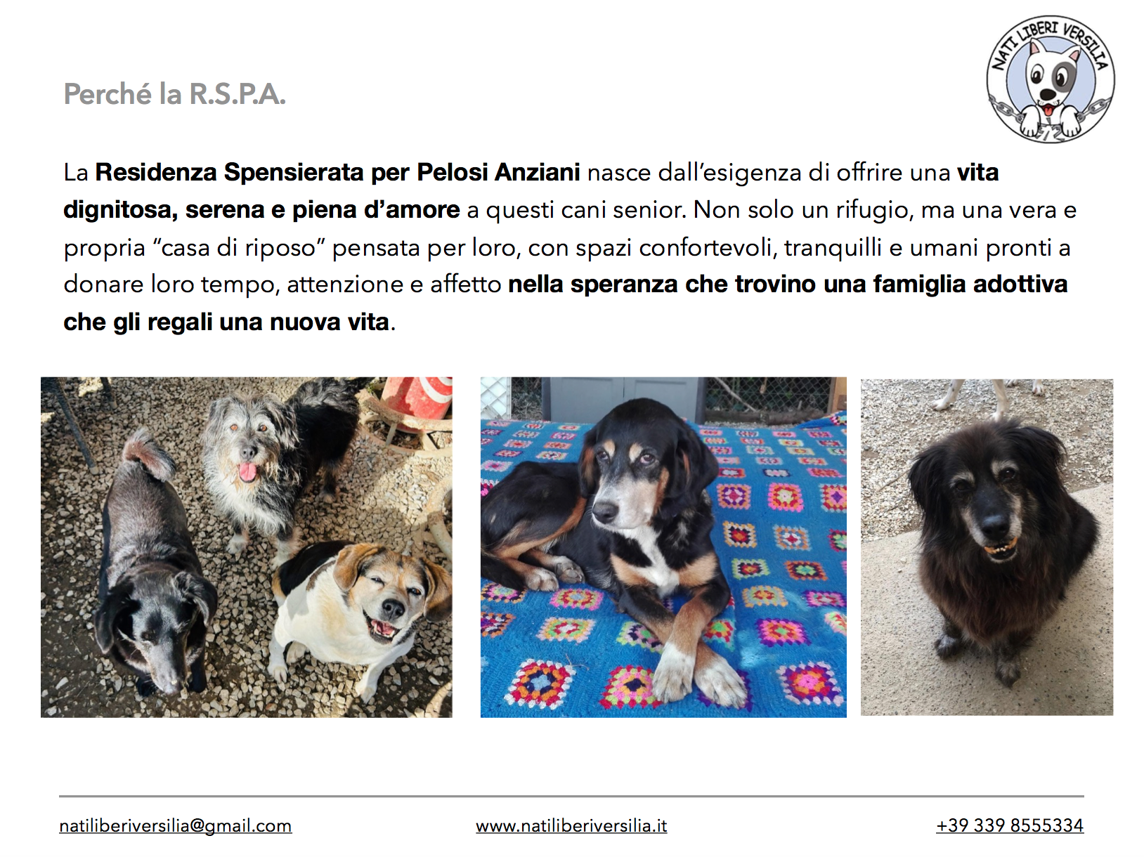 Image for Residenza Spensierata per Pelosi Anziani (la pensione che ogni coda merita).
