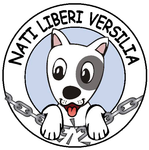 Project Logo