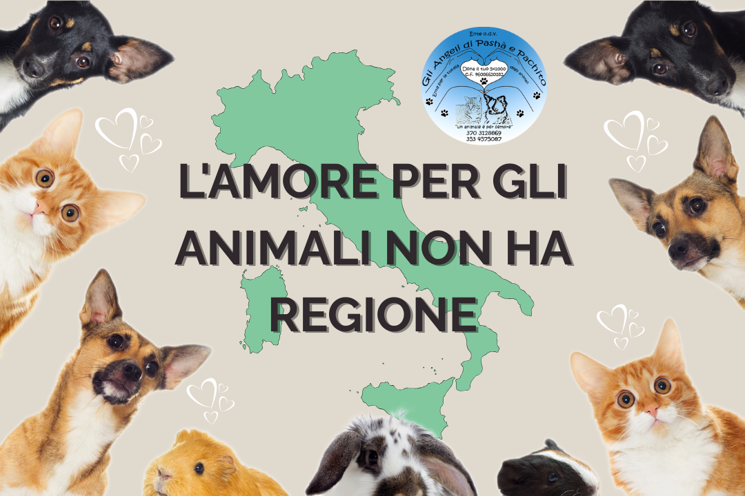 Image for L'AMORE PER GLI ANIMALI NON HA REGIONE