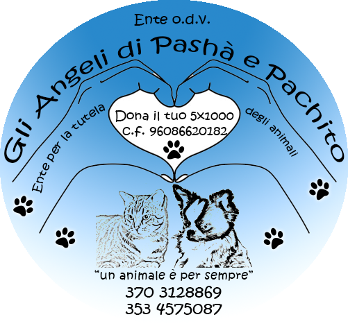 Project Logo
