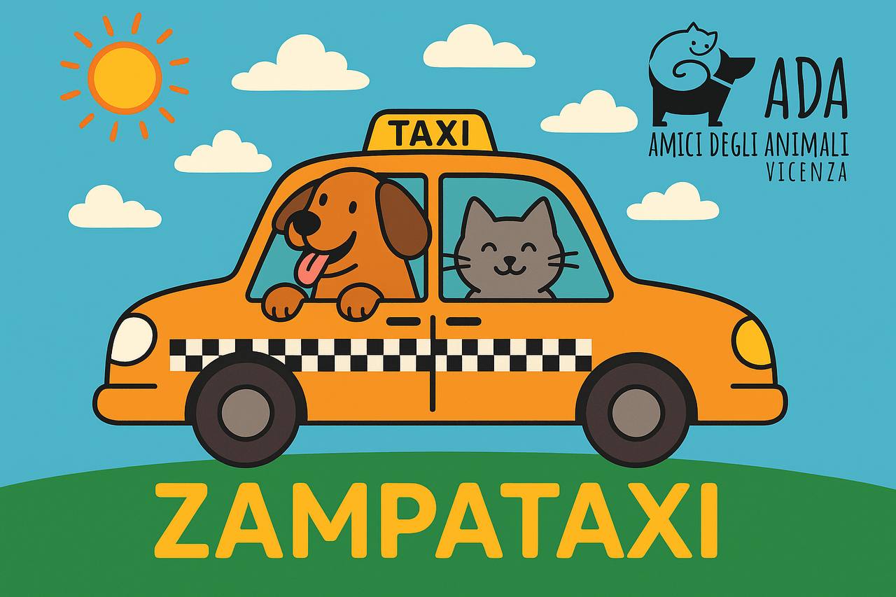 Image for ZAMPATAXI