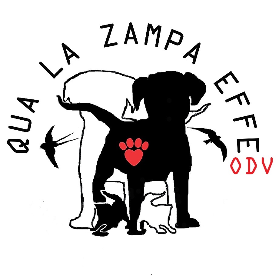 Project Logo