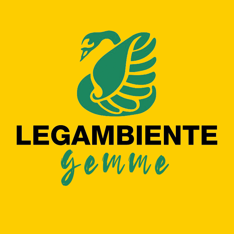 Project Logo