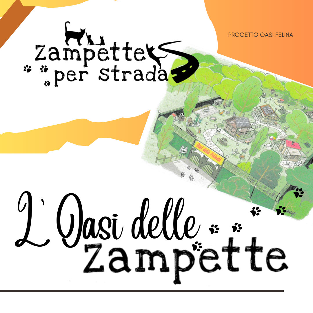Image for l’Oasi delle Zampette