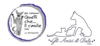 Project Logo