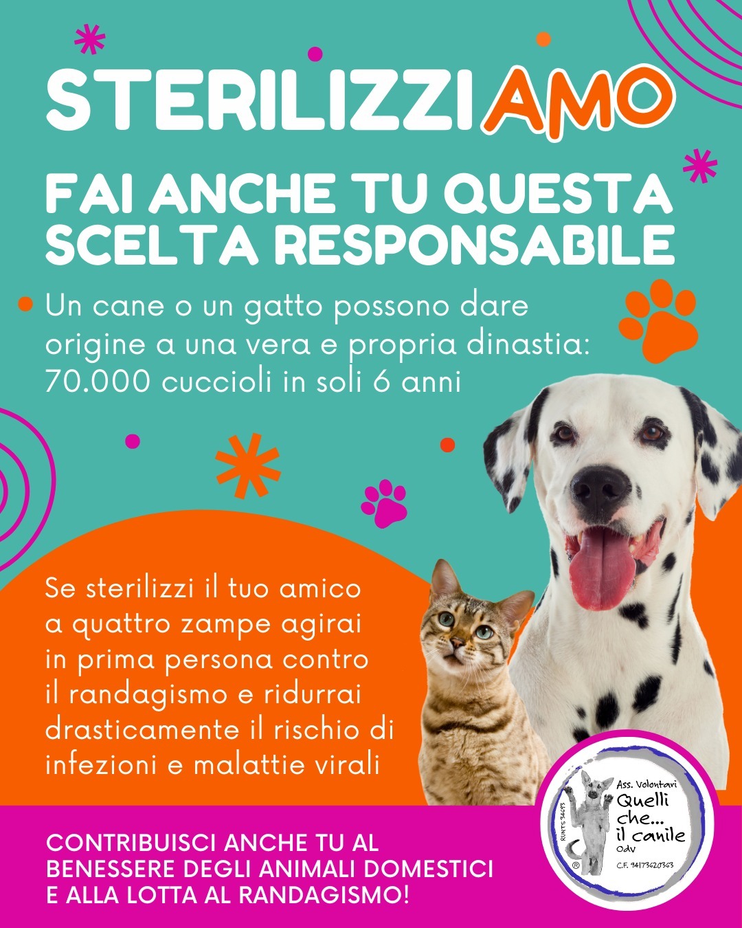 Image for Sterilizza, salva, ama
