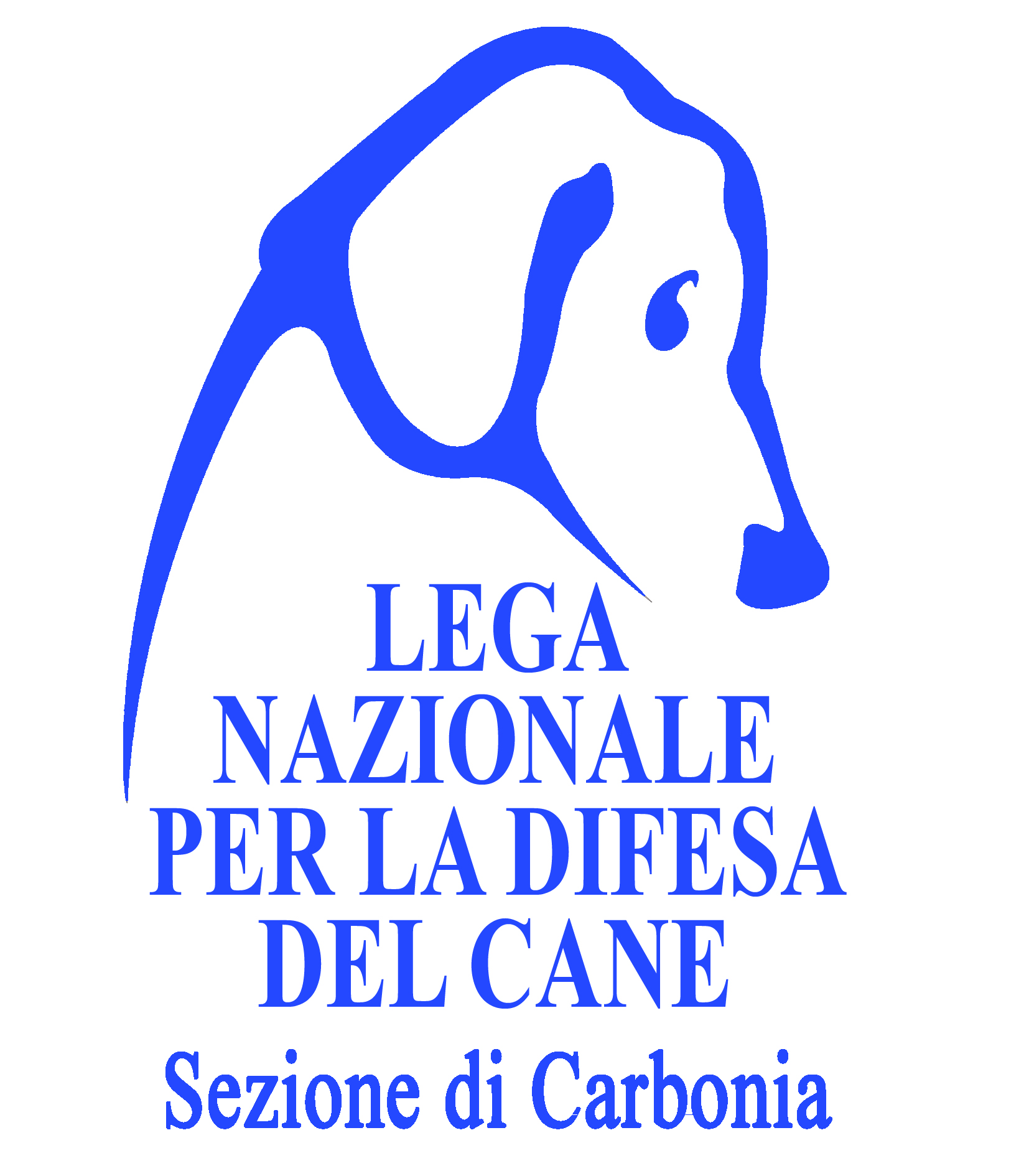 Project Logo