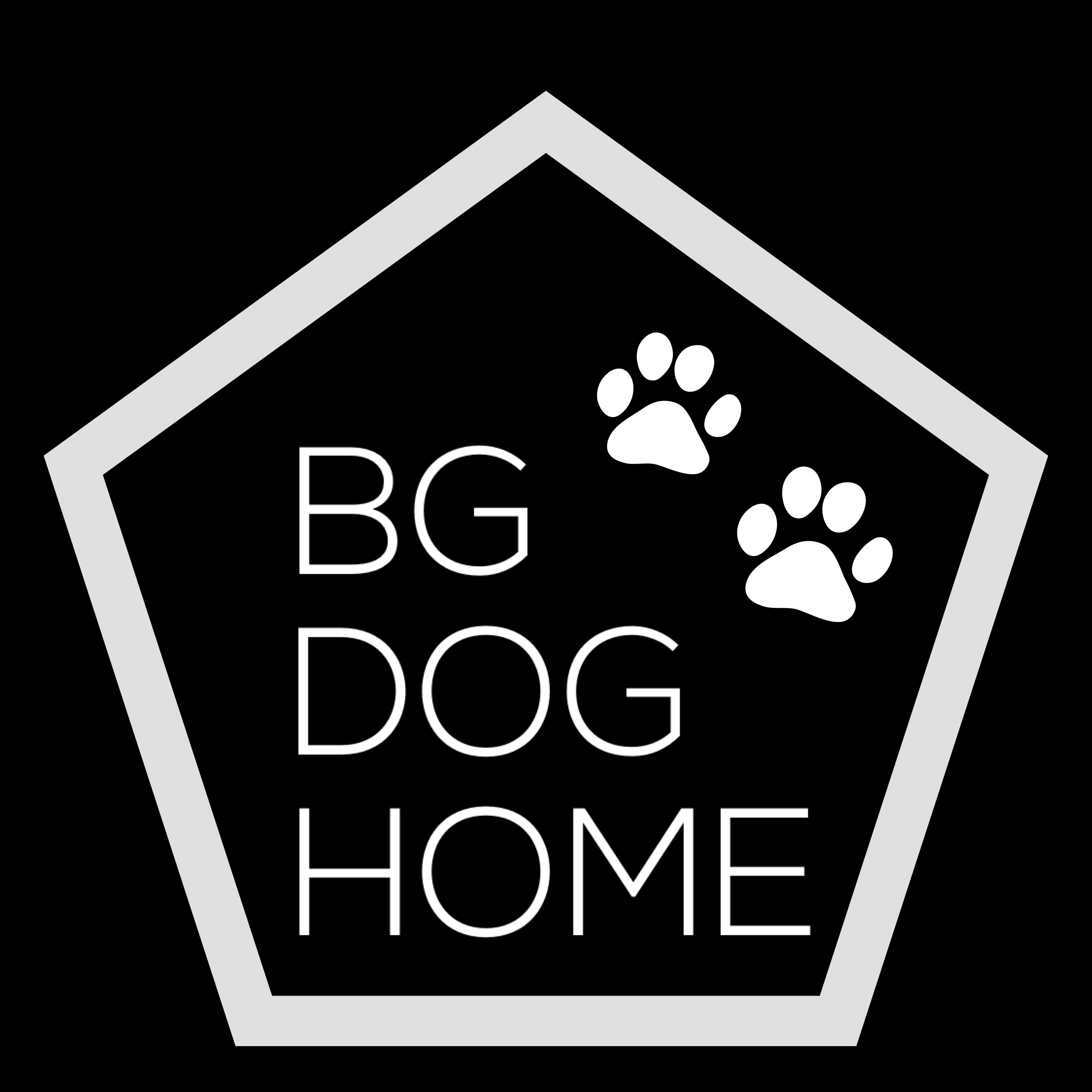 Project Logo