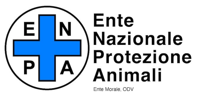 Project Logo