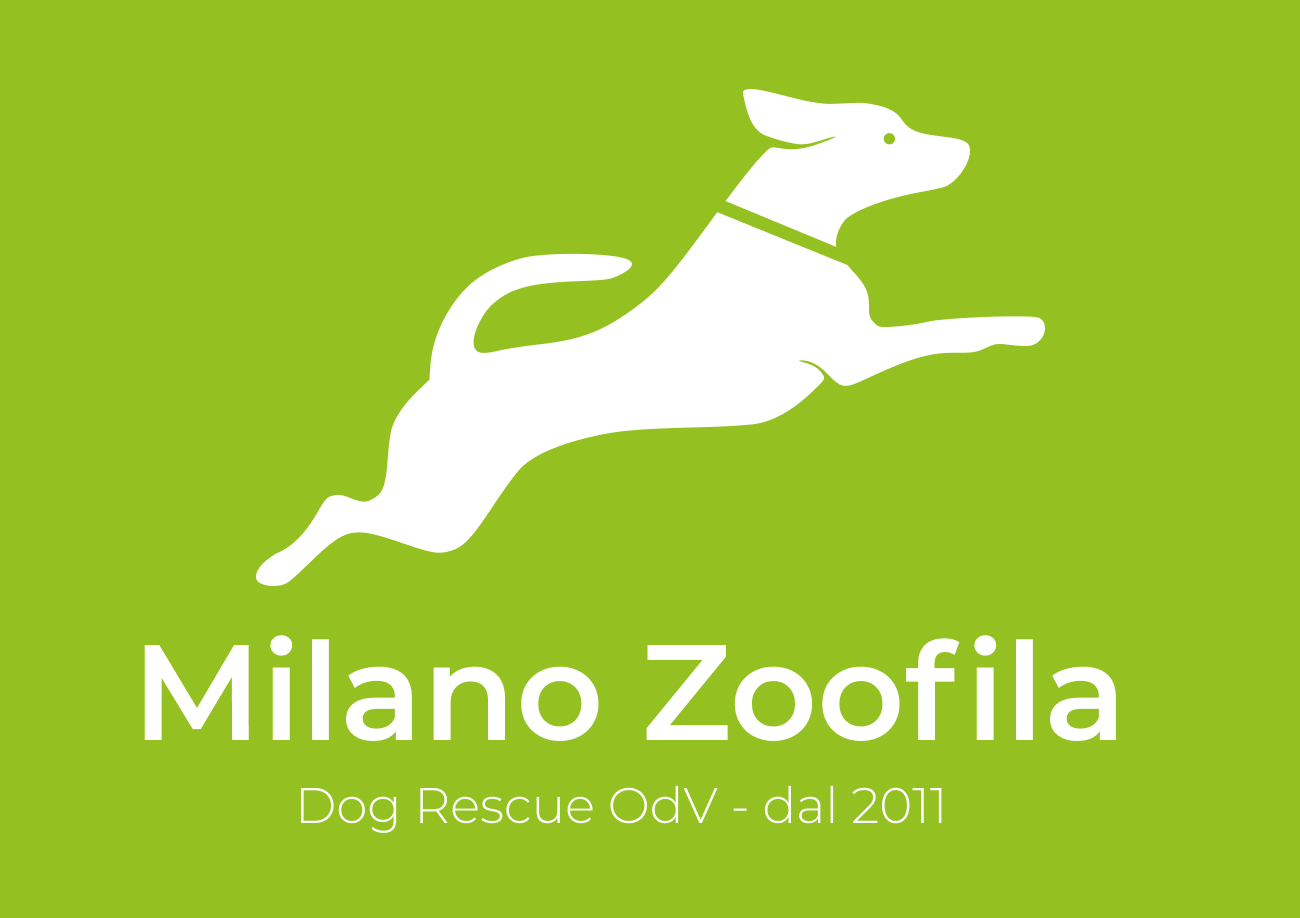 Project Logo