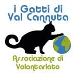 Project Logo