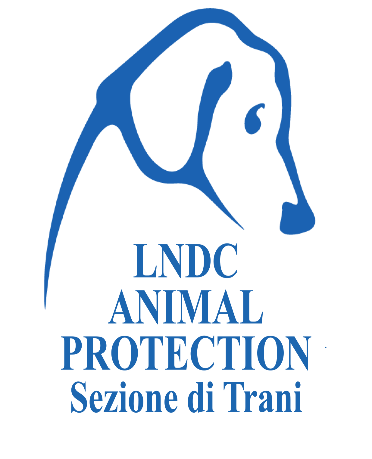 Project Logo