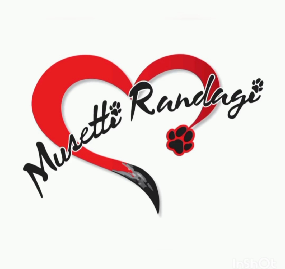 Project Logo