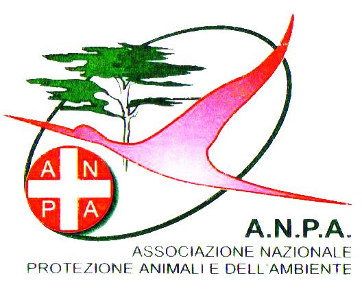 Project Logo