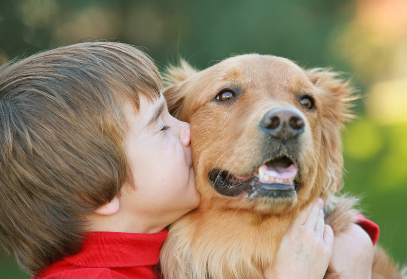 Image for AMICI DEL CUORE. IL LEGAME CON GLI ANIMALI IN ETA' EVOLUTIVA