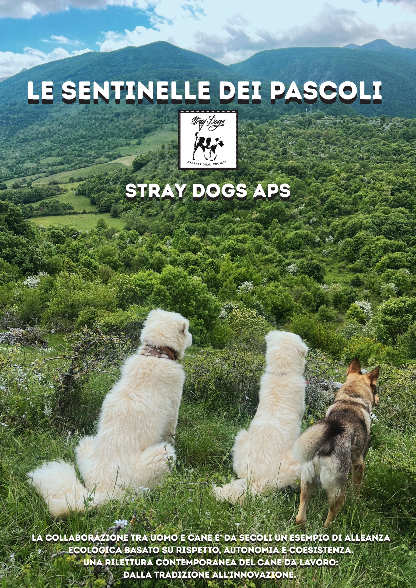 Image for Le sentinelle dei pascoli