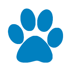 Project Logo