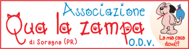 Project Logo