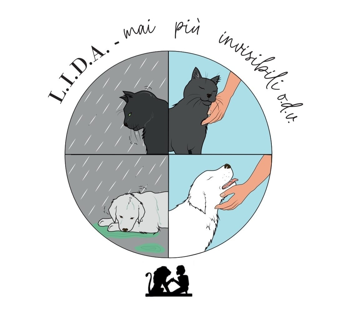 Image for Gattile puzzle