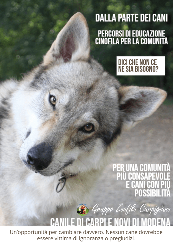 Image for Dalla Parte dei Cani – Percorsi di Educazione Cinofila per la Comunità
