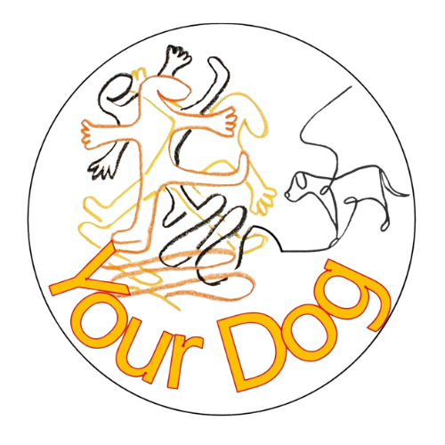 Image for Your dog