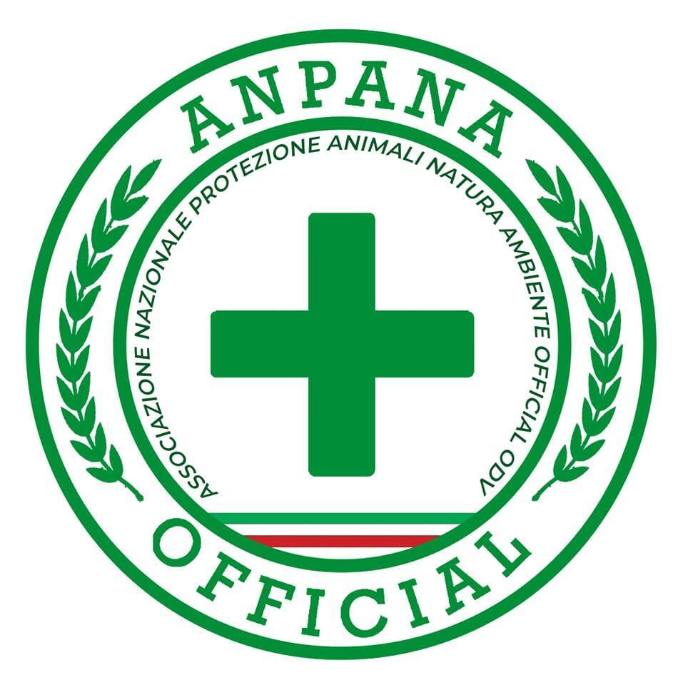 Project Logo