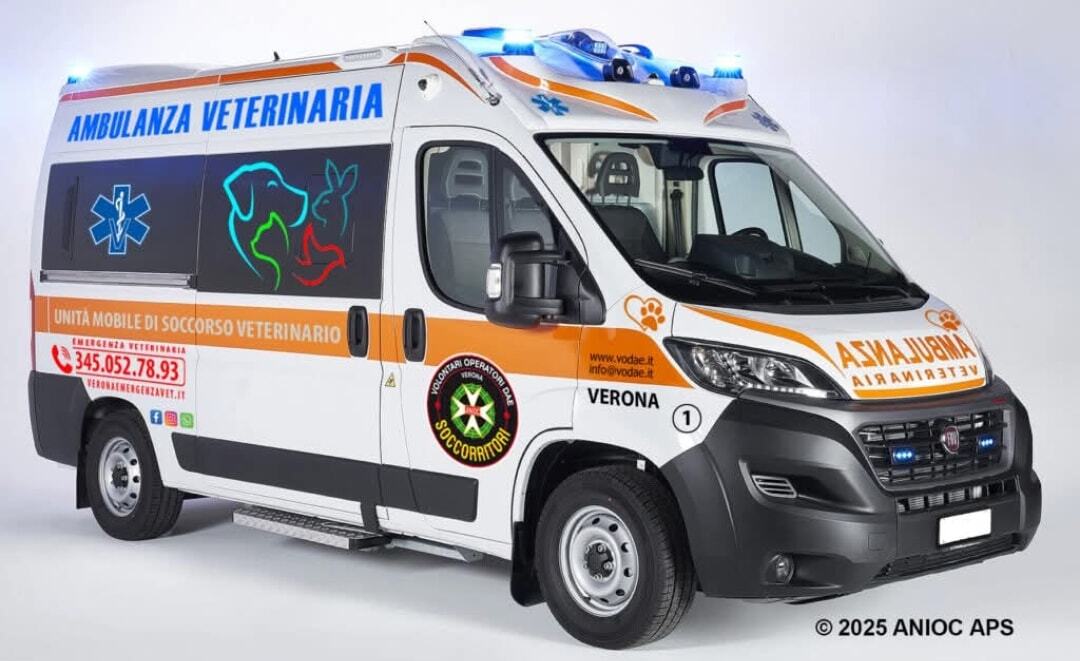Image for Ambulanza Veterinaria ANIOC