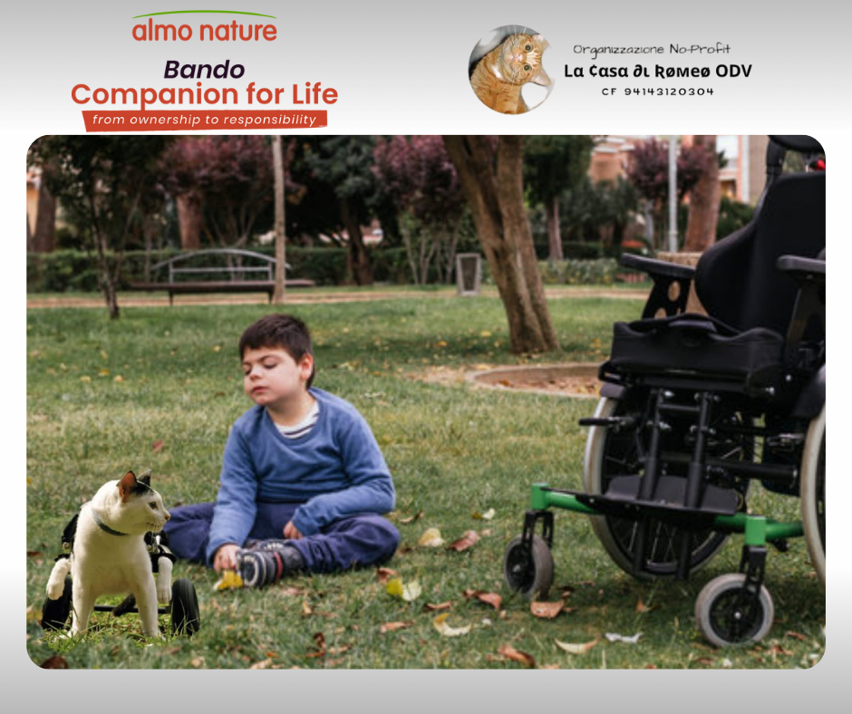 Image for OASI FELINA - LA CASA DI ROMEO
